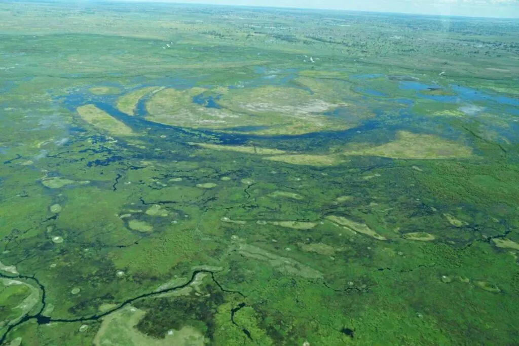Aerial view of the Okavango Delta in Botswana, home to many African wild dogs